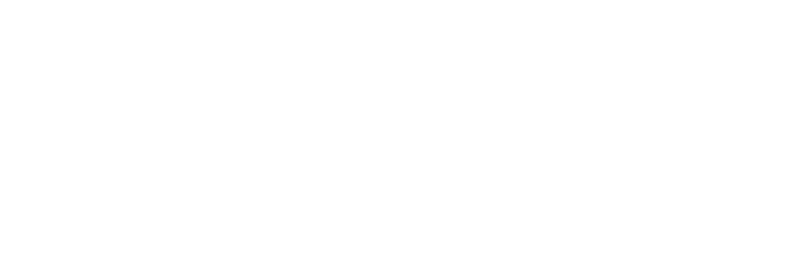 LITHIUM ENERGY LIMITED